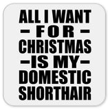 All I Want For Christmas Is My Domestic Shorthair - Drink Coaster