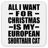 All I Want For Christmas Is My European Shorthair Cat - Drink Coaster