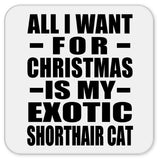 All I Want For Christmas Is My Exotic Shorthair Cat - Drink Coaster