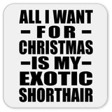 All I Want For Christmas Is My Exotic Shorthair - Drink Coaster