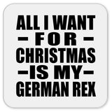 All I Want For Christmas Is My German Rex - Drink Coaster