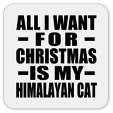 All I Want For Christmas Is My Himalayan Cat - Drink Coaster