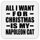 All I Want For Christmas Is My Napoleon Cat - Drink Coaster