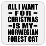 All I Want For Christmas Is My Norwegian Forest Cat - Drink Coaster