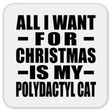 All I Want For Christmas Is My Polydactyl Cat - Drink Coaster