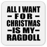 All I Want For Christmas Is My Ragdoll - Drink Coaster