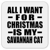 All I Want For Christmas Is My Savannah Cat - Drink Coaster