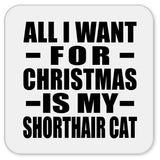All I Want For Christmas Is My Shorthair Cat - Drink Coaster