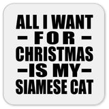 All I Want For Christmas Is My Siamese Cat - Drink Coaster
