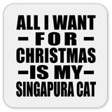 All I Want For Christmas Is My Singapura Cat - Drink Coaster