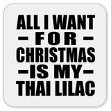 All I Want For Christmas Is My Thai Lilac - Drink Coaster