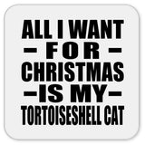 All I Want For Christmas Is My Tortoiseshell Cat - Drink Coaster