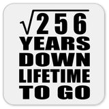 16th Anniversary Square Root of 256 Years Lifetime To Go - Drink Coaster