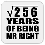 16th Anniversary Square Root of 256 Years of Being Mr Right - Drink Coaster