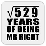 23rd Anniversary Square Root of 529 Years of Being Mr Right - Drink Coaster