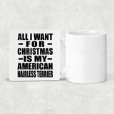 All I Want For Christmas Is My American Hairless Terrier - Drink Coaster