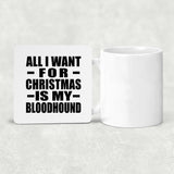 All I Want For Christmas Is My Bloodhound - Drink Coaster