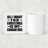 All I Want For Christmas Is My Canaan Dog - Drink Coaster