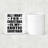 All I Want For Christmas Is My Exotic Shorthair - Drink Coaster