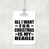 All I Want For Christmas Is My Beagle - Luggage Bag Tag