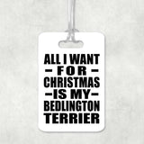All I Want For Christmas Is My Bedlington Terrier - Luggage Bag Tag