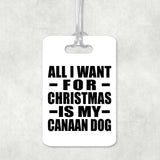 All I Want For Christmas Is My Canaan Dog - Luggage Bag Tag