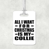 All I Want For Christmas Is My Collie - Luggage Bag Tag