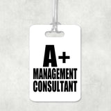 A+ Management Consultant - Luggage Bag Tag