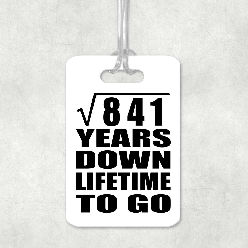 29th Anniversary Square Root of 841 Years Lifetime To Go - Luggage Bag Tag