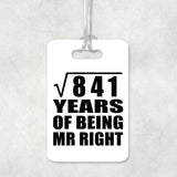 29th Anniversary Square Root of 841 Years of Being Mr Right - Luggage Bag Tag