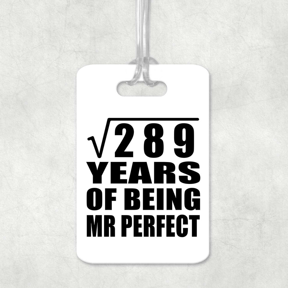 17th Anniversary Square Root of 289 Years of Mr Perfect - Luggage Bag Tag