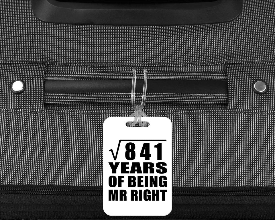 29th Anniversary Square Root of 841 Years of Being Mr Right - Luggage Bag Tag