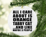 All I Care About Is Orange Tabby Cat - Circle Ornament