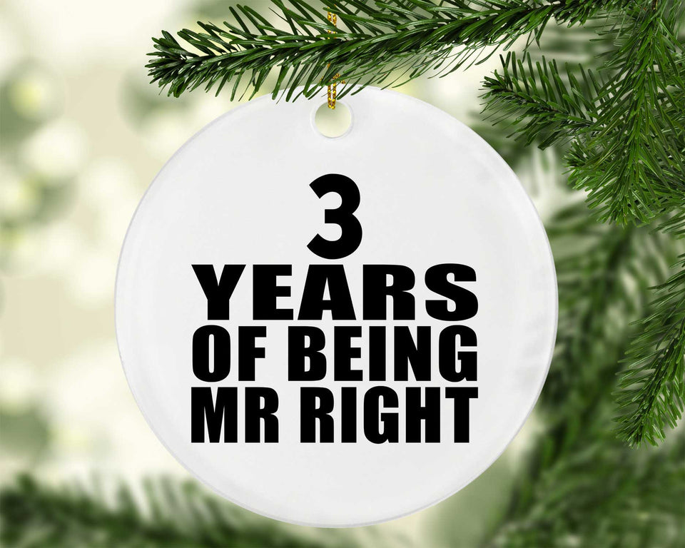 3rd Anniversary 3 Years Of Being Mr Right - Circle Ornament