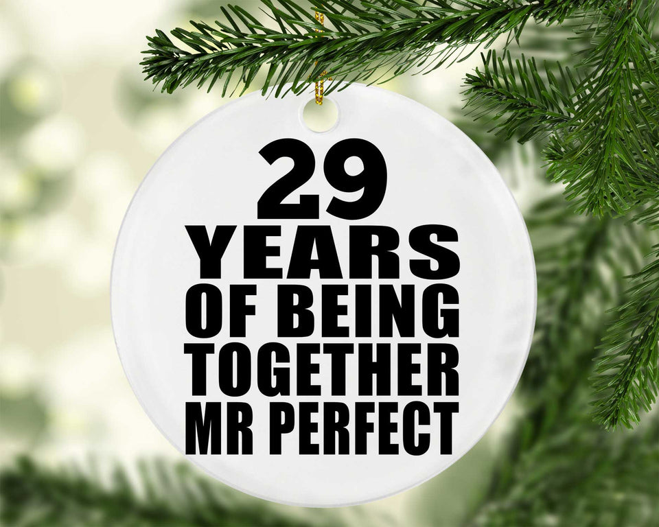 29th Anniversary 29 Years Of Being Mr Perfect - Circle Ornament