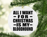 All I Want For Christmas Is My Bloodhound - Circle Ornament