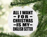 All I Want For Christmas Is My English Setter - Circle Ornament