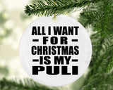 All I Want For Christmas Is My Puli - Circle Ornament