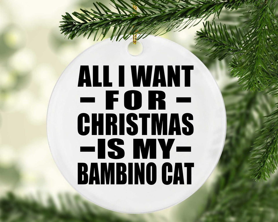 All I Want For Christmas Is My Bambino Cat - Circle Ornament