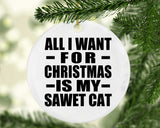All I Want For Christmas Is My Sawet Cat - Circle Ornament