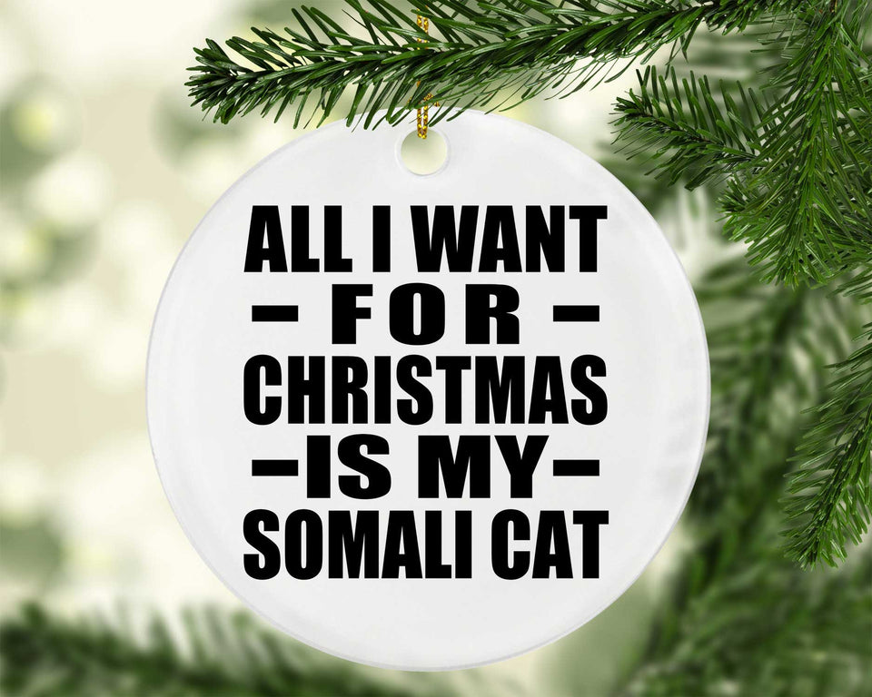 All I Want For Christmas Is My Somali Cat - Circle Ornament