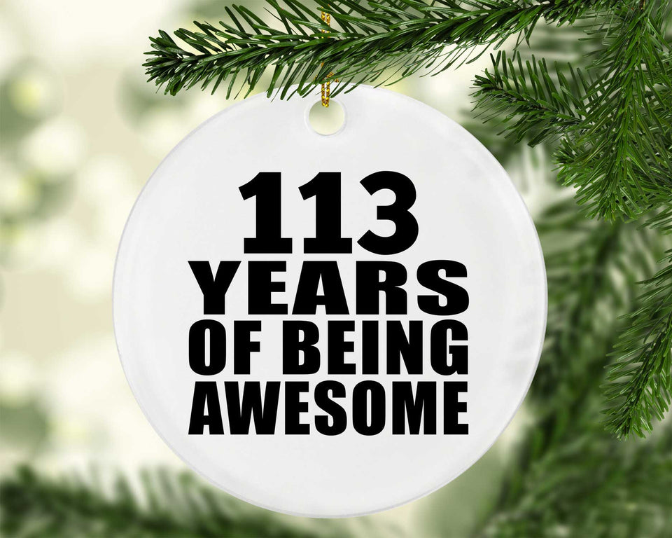 113th Birthday 113 Years Of Being Awesome - Circle Ornament