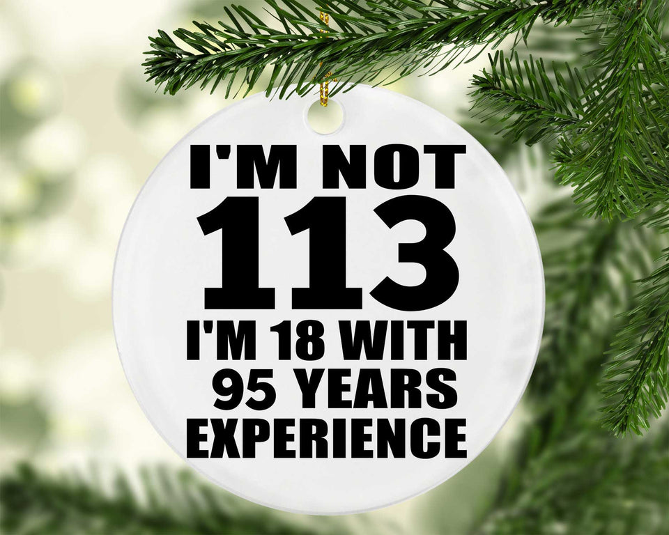 113th Birthday I'm Not 113 I'm 18 With 95 Years Experience - Circle Ornament