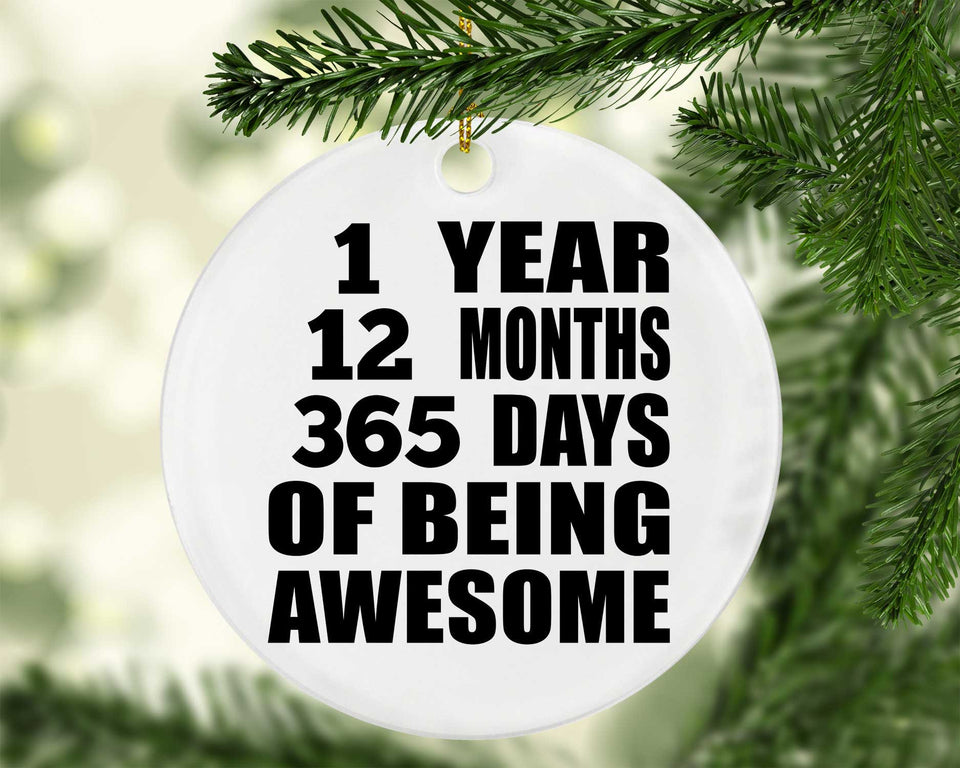 1st Birthday 1 Year 12 Months 365 Days Of Awesome - Circle Ornament
