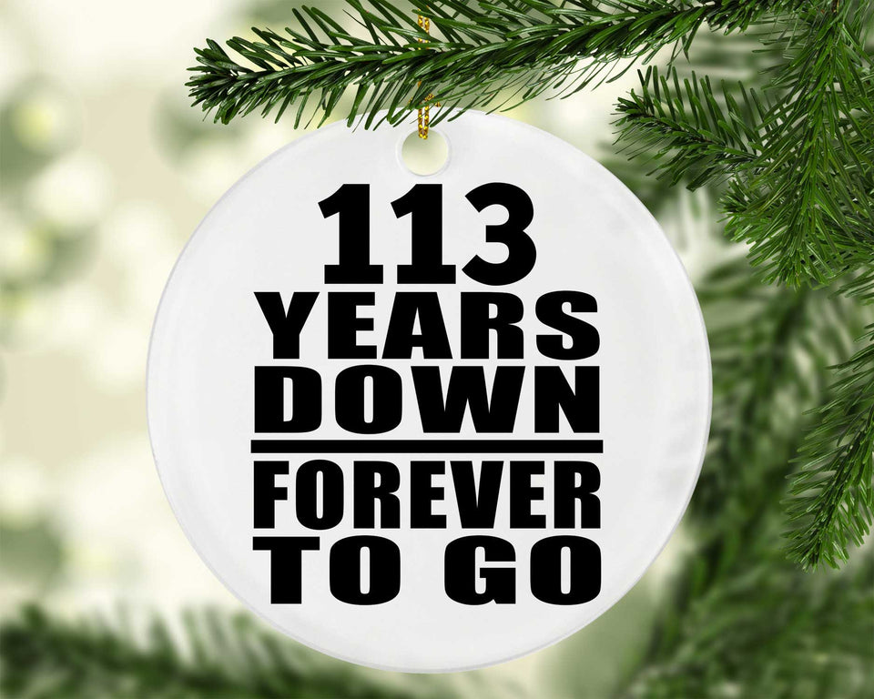 113th Anniversary 113 Years Down Forever to Go - Circle Ornament