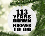 113th Anniversary 113 Years Down Forever to Go - Circle Ornament