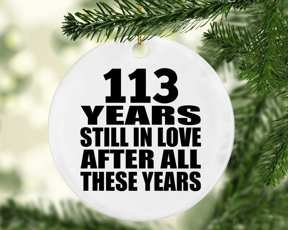 113th Anniversary 113 Years Still In Love After These Years - Circle Ornament