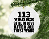 113th Anniversary 113 Years Still In Love After These Years - Circle Ornament