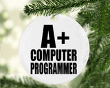 A+ Computer Programmer - Circle Ornament