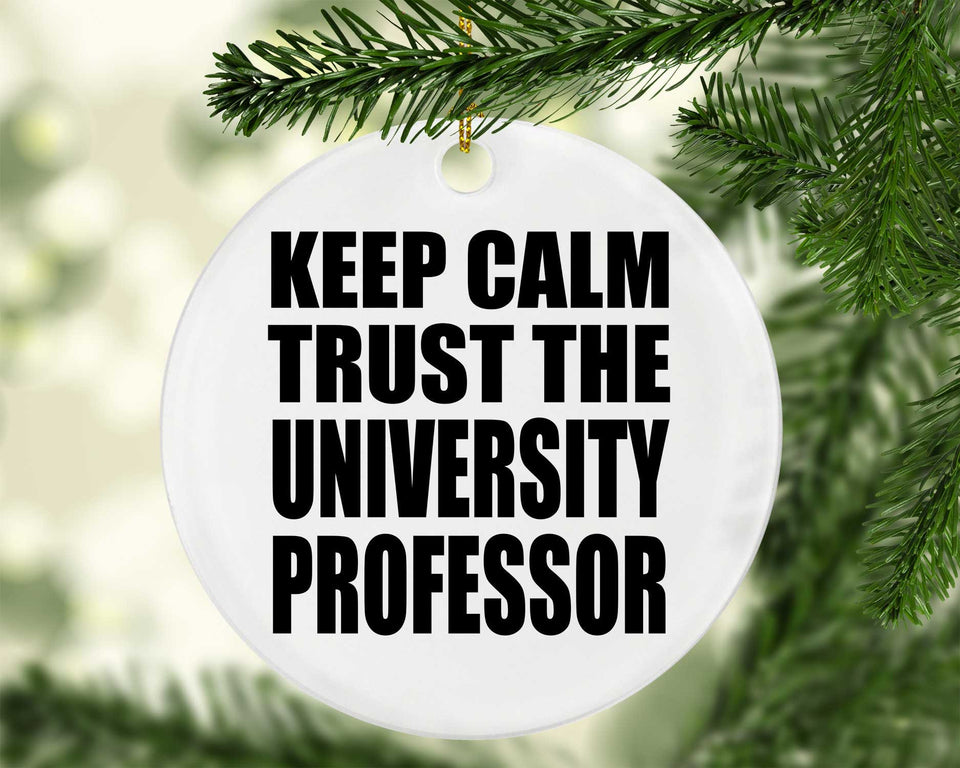 Keep Calm and Trust The University Professor - Circle Ornament